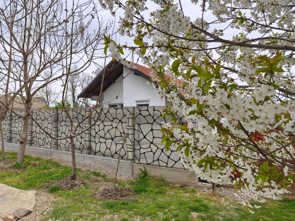 a white house behind a fence with white flowers at Guest house with sauna in Krčedin