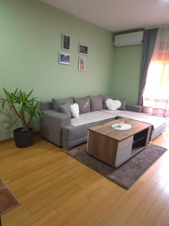 a living room with a couch and a coffee table at Bella Verde in Vrnjačka Banja