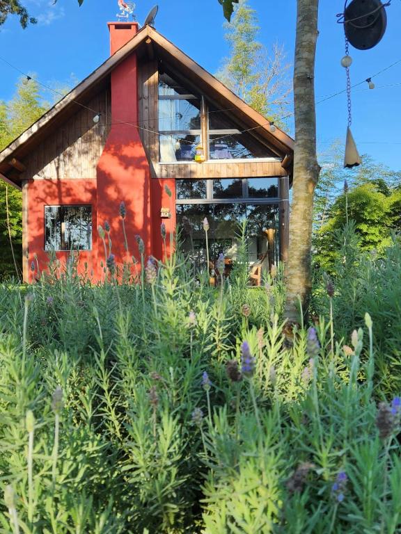 a house in the middle of a garden at Chalé Manacá da Serra in São Bento do Sul