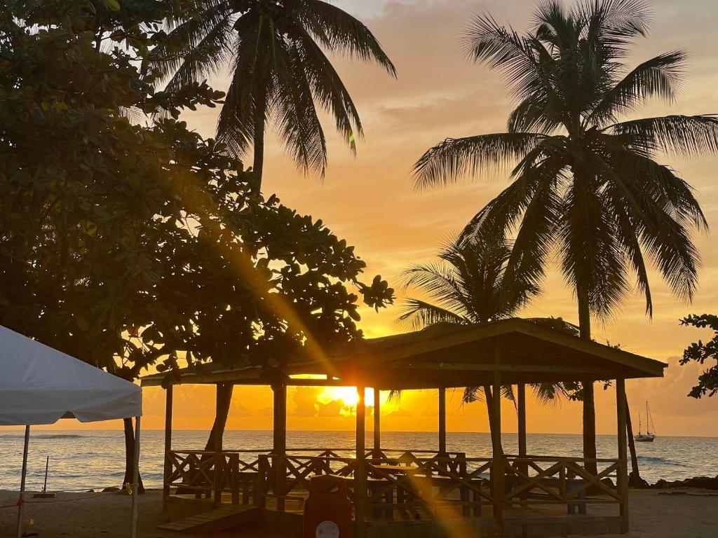 a sunset on the beach with palm trees and tables at Riseland Breeze Collection in Carnbee Village