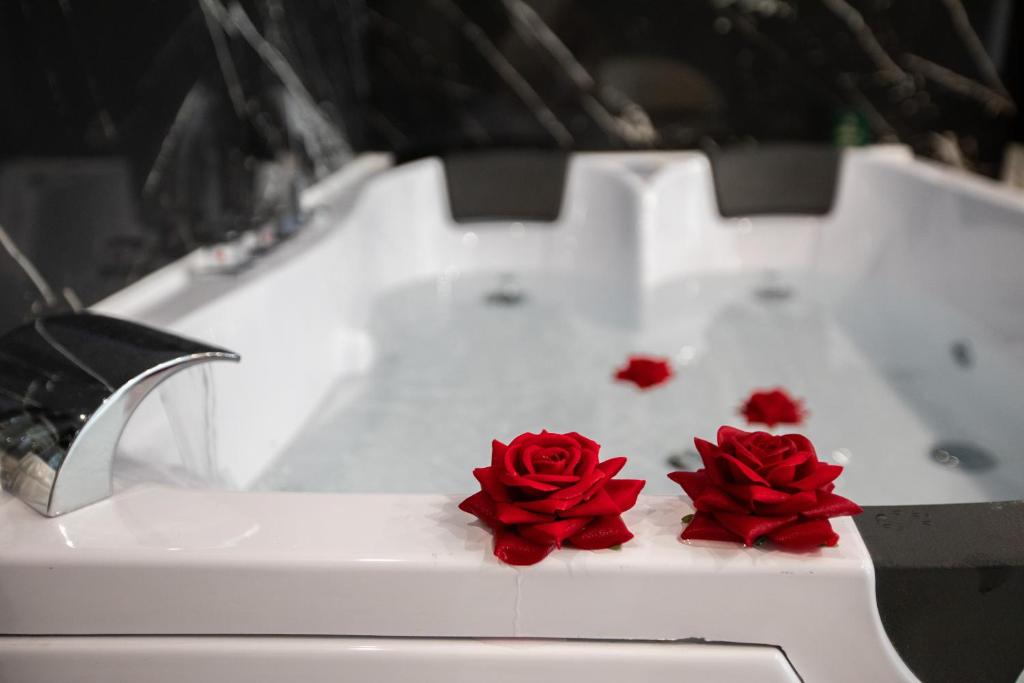 two red roses sitting on top of a sink at Blāck diamond spa in Mulhouse