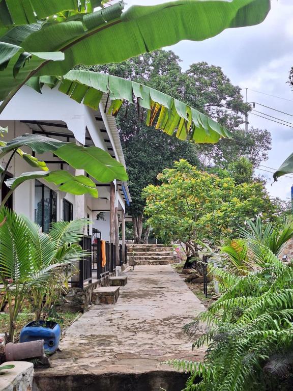 a house with large green leaves on the side of it at Fat Monkey in Koh Rong Island