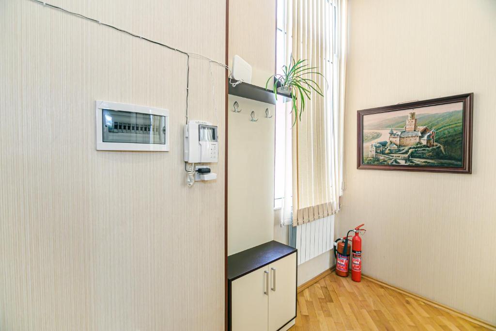 لابی و فضای عمومی Nizami Street Cozy Studio Apartment - تصویر ۵