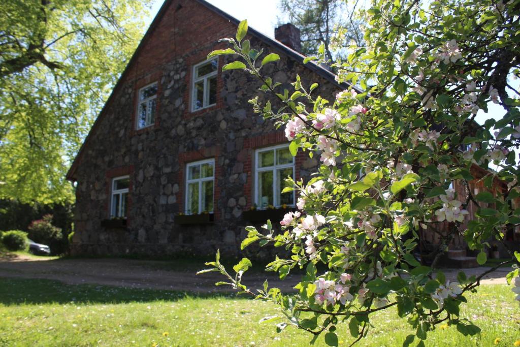 an old stone house with pink flowers in front of it at Lauku sēta Svētupes in Salacgrīva