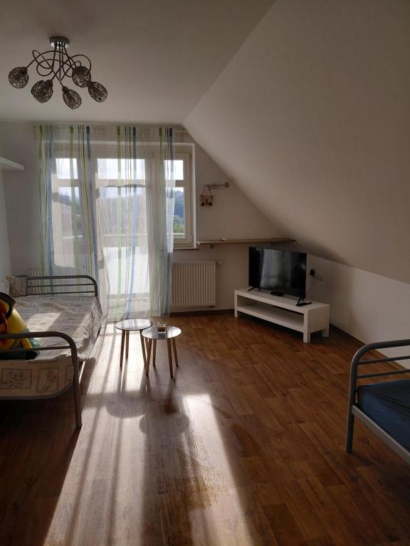 a living room with a bed and a tv at Apartment Robin in Karlovy Vary