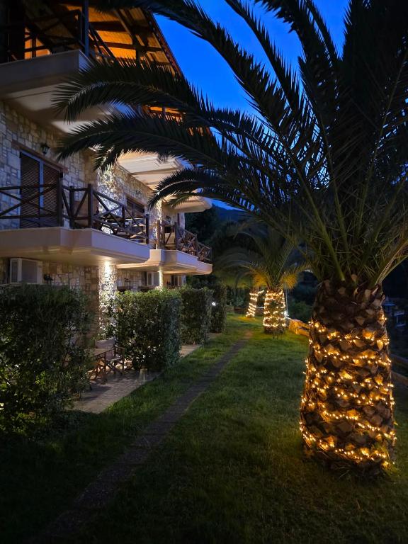 a palm tree in front of a building at night at Lithoktisto in Limnionas