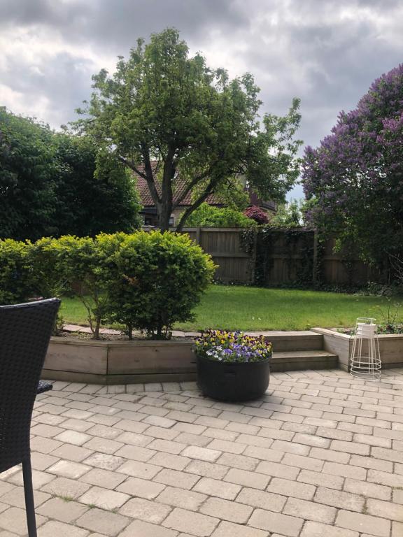 a patio with a pot of flowers in a yard at Tivoligatan in Höganäs