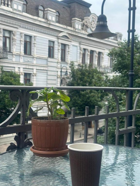 تصویر اتاق‌های Sweet Home Agmashenebeli - تصویر ۲