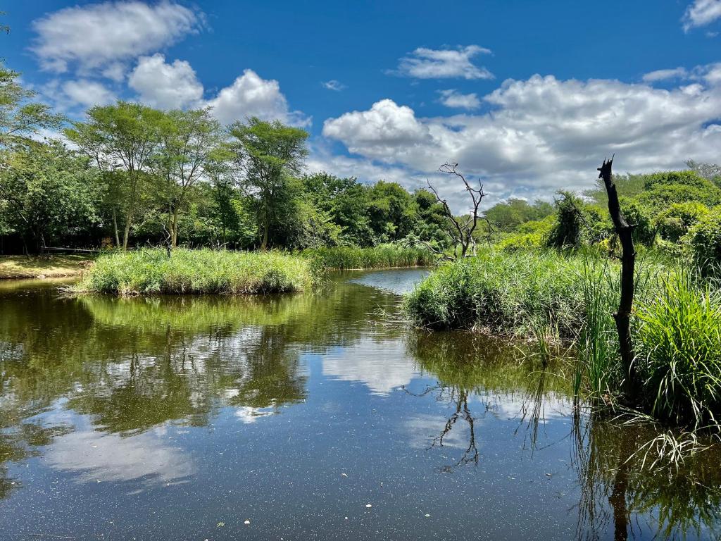 a river with trees and clouds in the sky at Spacious Family Villa, close to Krugerpark entrance in Phalaborwa