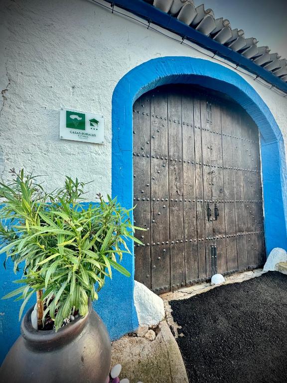 a garage door with a potted plant in front of it at Alojamiento Rural La Tinaja in Ayna