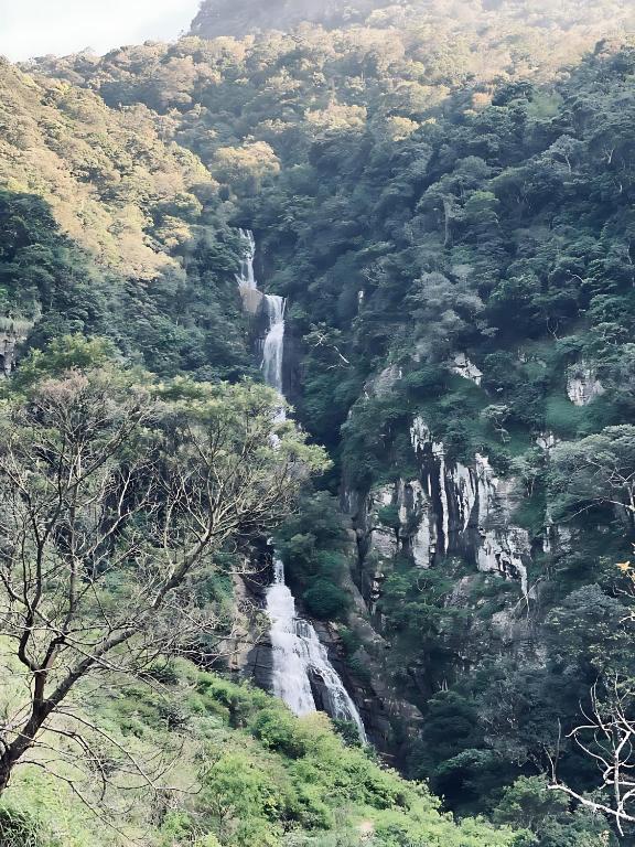 a waterfall in the middle of a forest at Mandaram Nuwara Sunset Villa in Nuwara Eliya