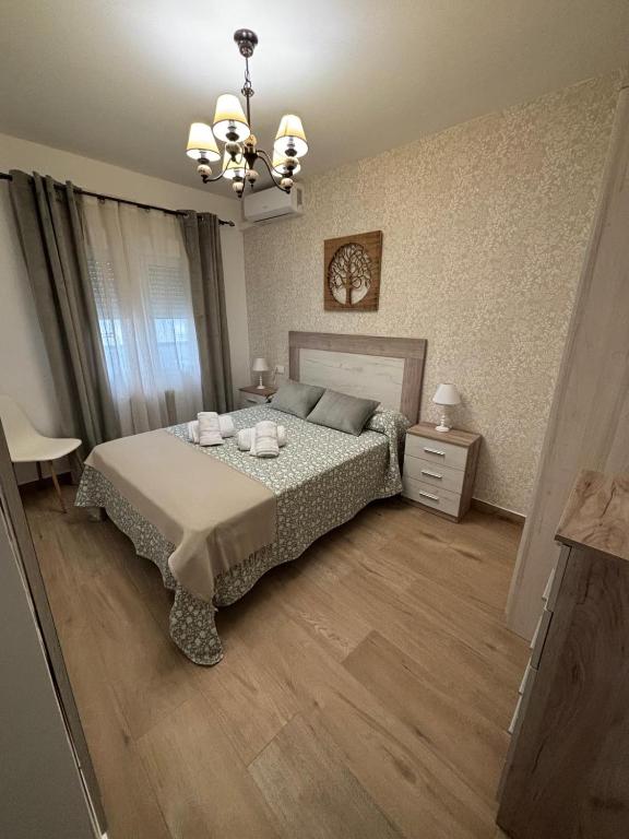 a bedroom with a bed and a chandelier at VUT TRINIDAD 3 dormitorio in La Guardia