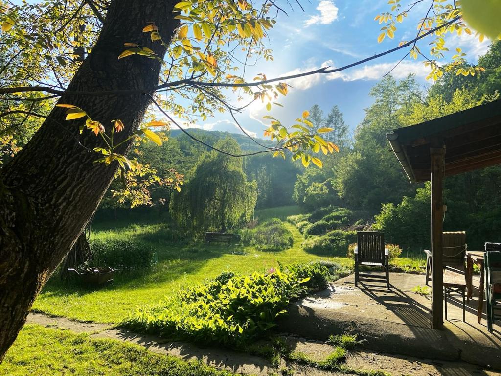 a view of a garden with a tree at Park Apartman in Sály
