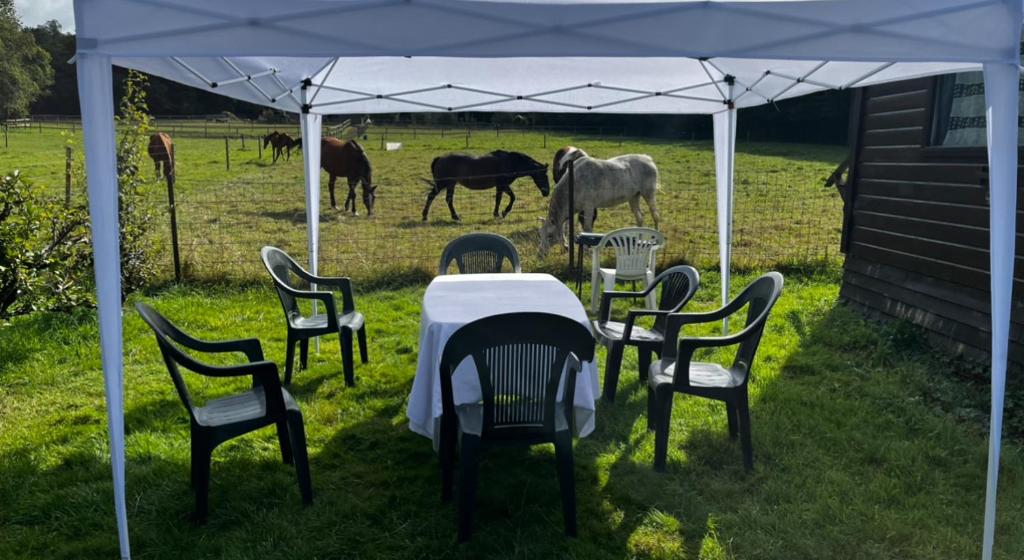 a table and chairs under a tent with horses in a field at Le réveil des oiseaux in Saint-Michel