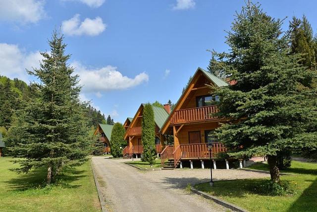 a large wooden house with trees in front of it at Leśna Polana in Baligród