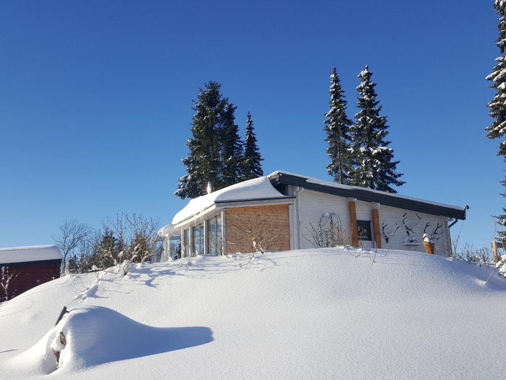 ein Haus mit Schnee und Bäumen in der Unterkunft Blockhaus Kik im Harz in Sankt Andreasberg