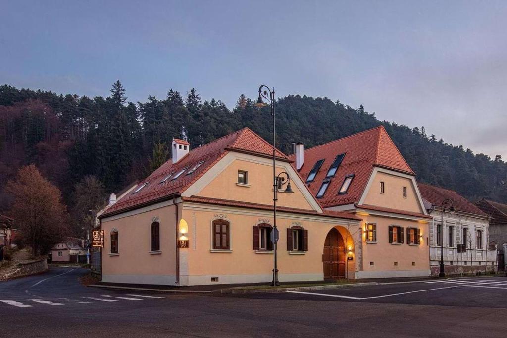 a large building on the side of a street at Das Fort Boutique in Râşnov
