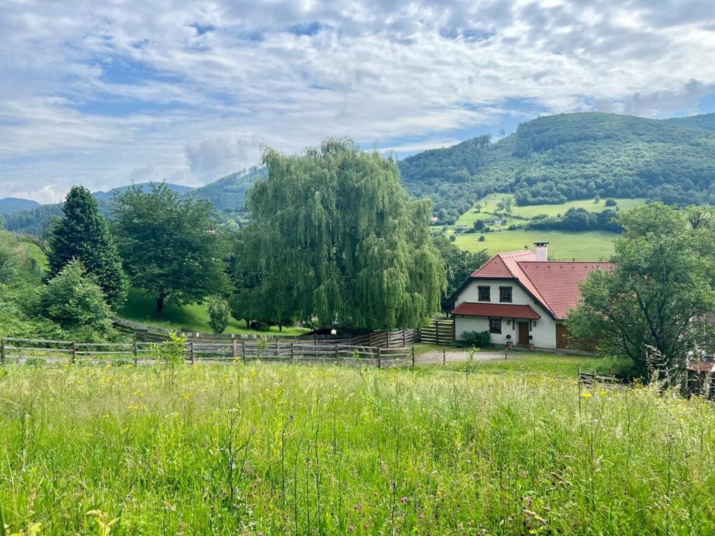 a house in the middle of a field with a tree at Chalupa pri Ukoch s wellness, Bílé Karpaty in Matěk