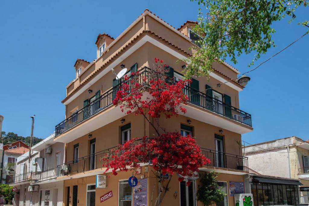 Nitsa's Corner