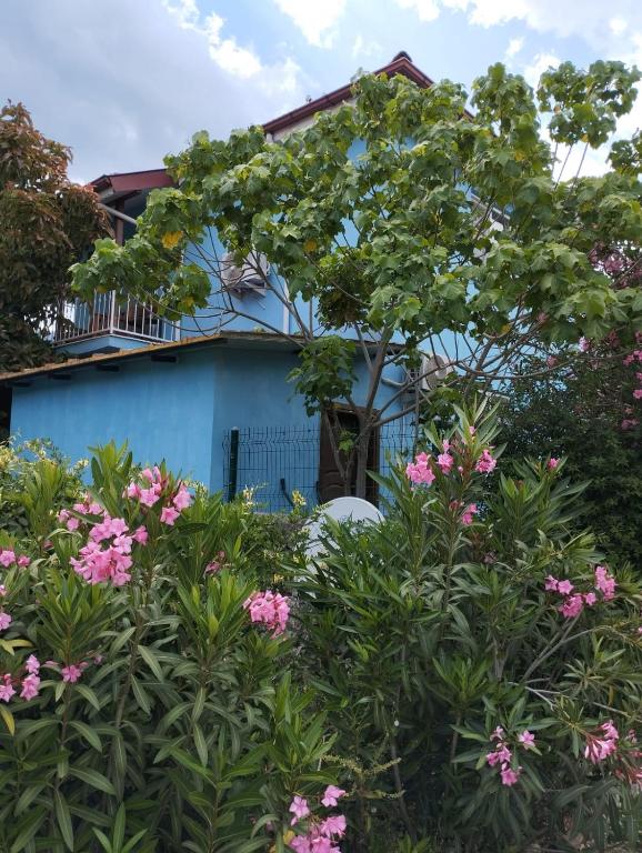 a blue house with a tree and pink flowers at Mavi Ev in Köyceğiz