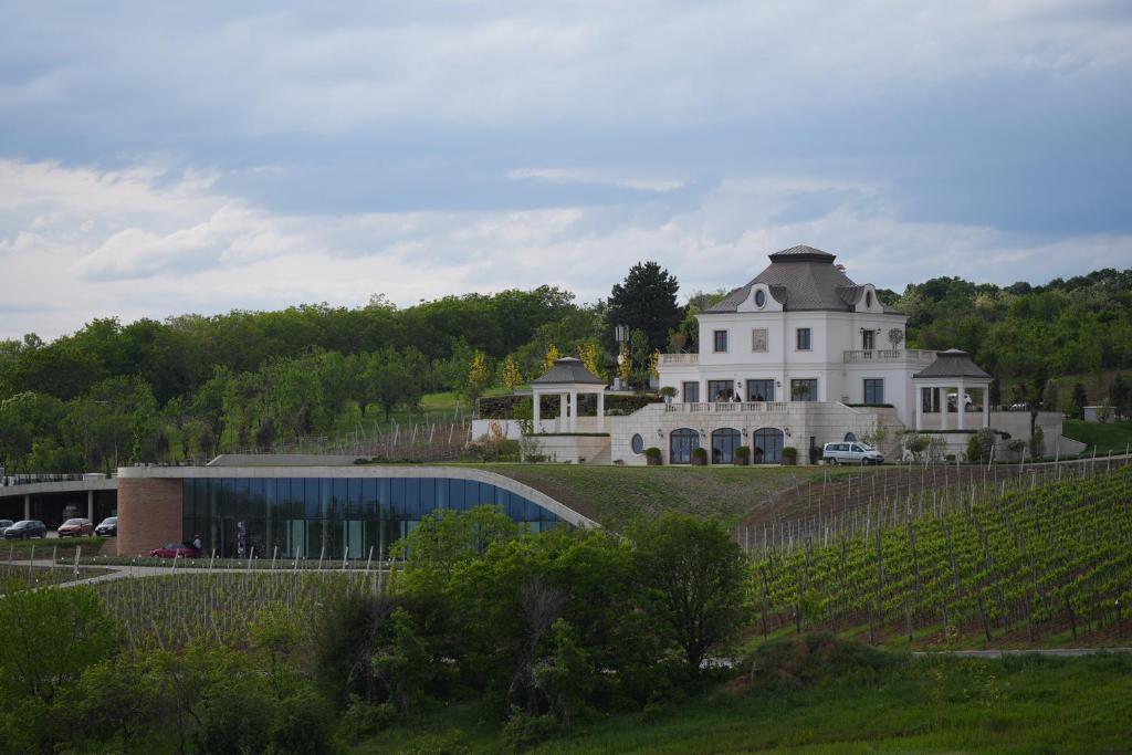 a large white house on top of a hill at Winery La Gora in Irig
