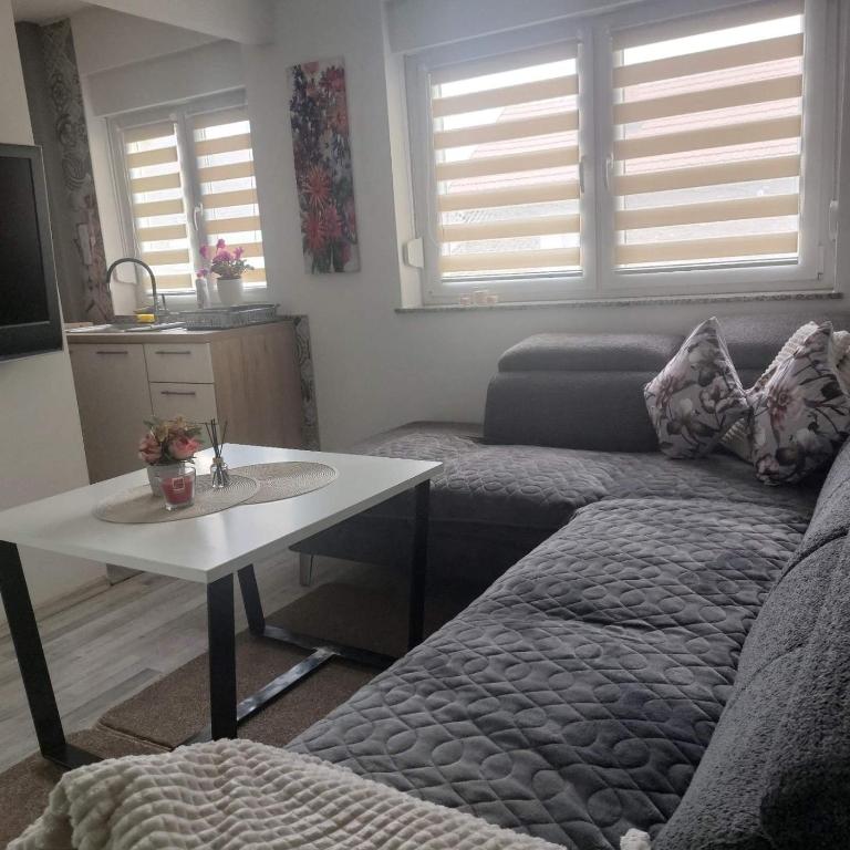 a living room with a bed and a table at Apartman Sava in Bosanski Šamac