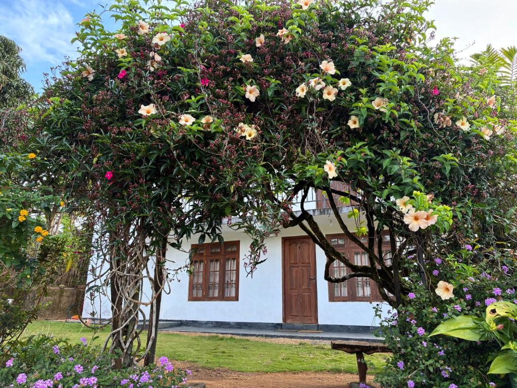 a tree with flowers in front of a house at Cloud Nine in Diyatalawa