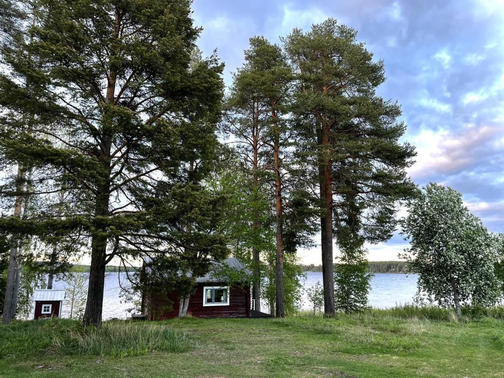 a small cabin in the trees next to a lake at Svens Stuga in Burträsk