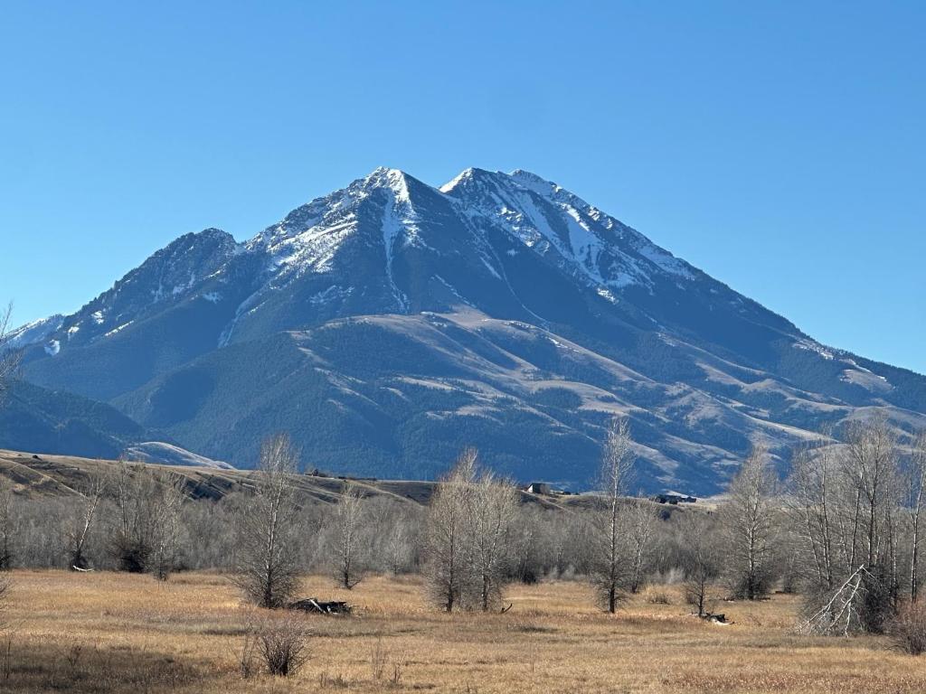 a snow covered mountain in front of a field with trees at YellowstoneMigrant in Emigrant