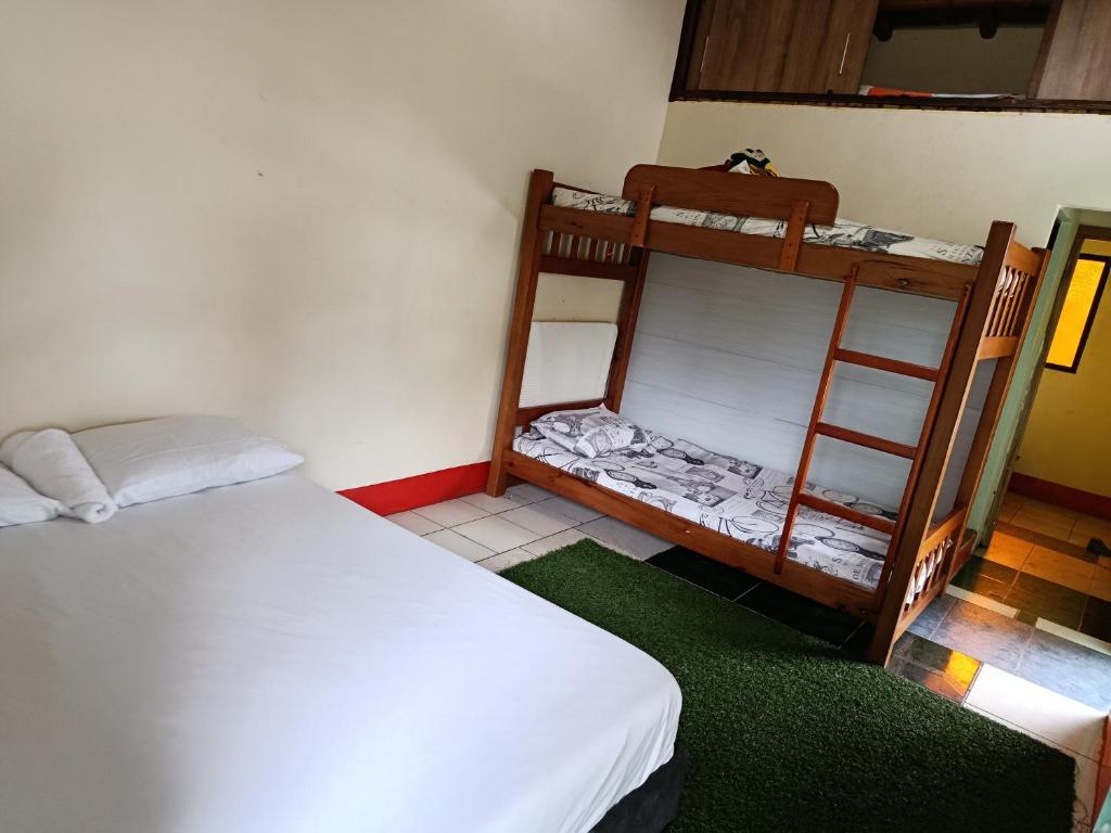 a bedroom with a bunk bed and a ladder at la embajada hospedaje in San Rafael