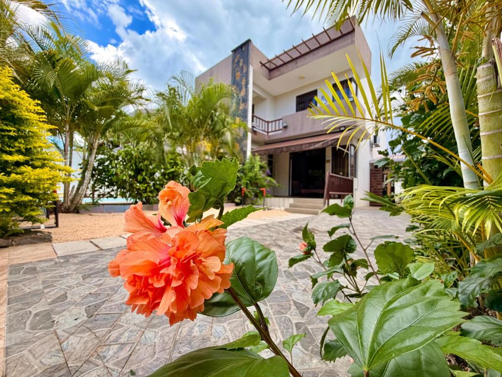 an orange flower in front of a house at Villa Luck in Trou aux Biches