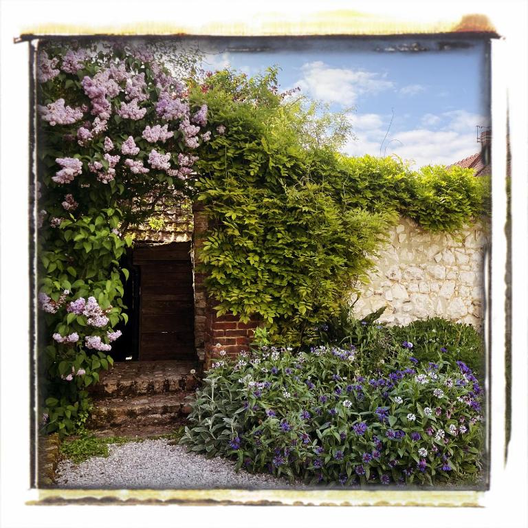 a picture of a garden with flowers and a building at Chez Fifine in Mont-Saint-Éloi