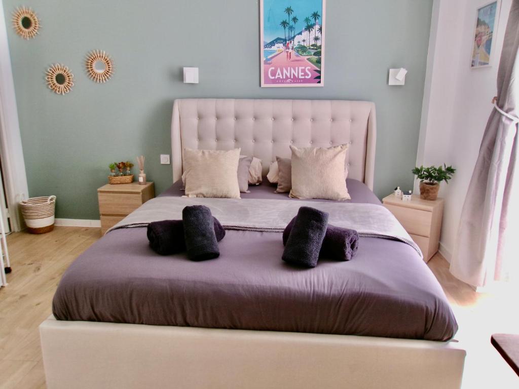Adorable studio cannes center