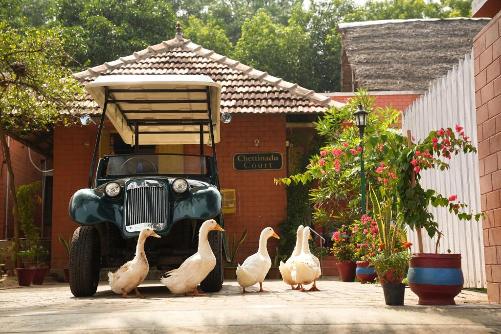 a group of ducks standing in front of a car at Chettinadu Court- HERITAGE VIEW in Kānādukāttān