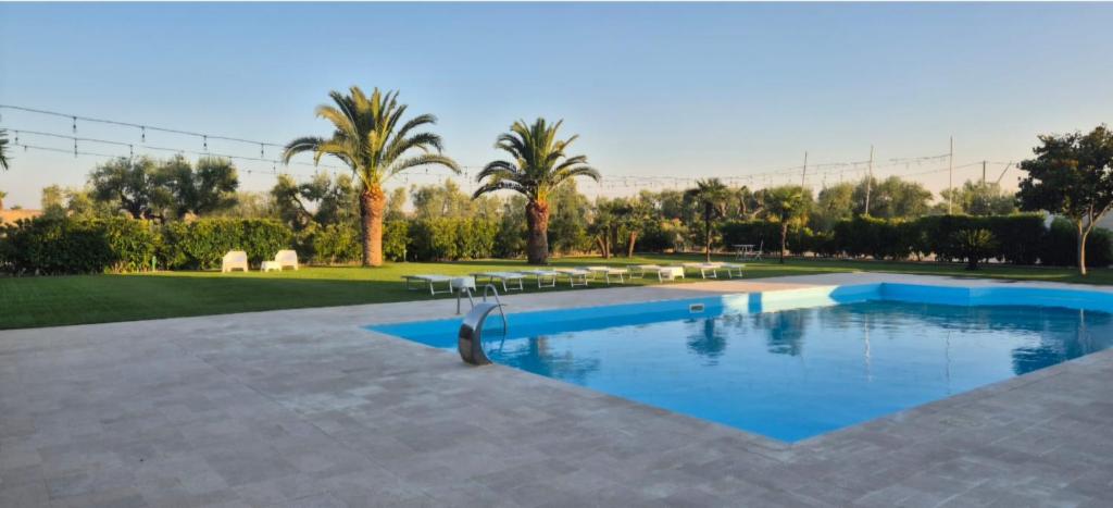 a swimming pool in a park with palm trees at B&B Uliveto in Cerignola