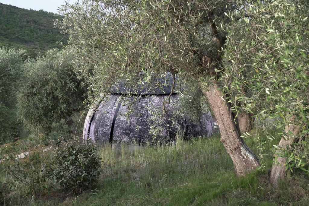 an old building in a field with a tree at Cosmo Camp in Montepescali