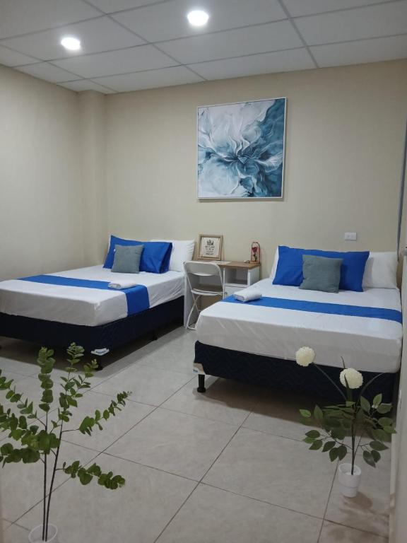 a room with two beds and a table with plants at Nómada San Miguel in Colonia Milagro de La Paz