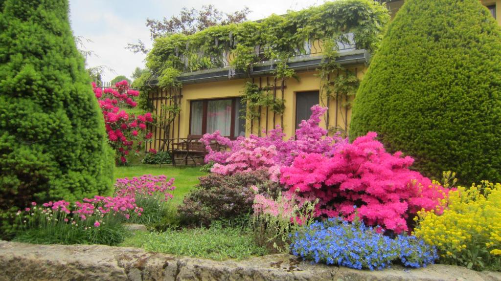 a garden of flowers in front of a house at Ferienwohnungen Rico Eglin in Struppen