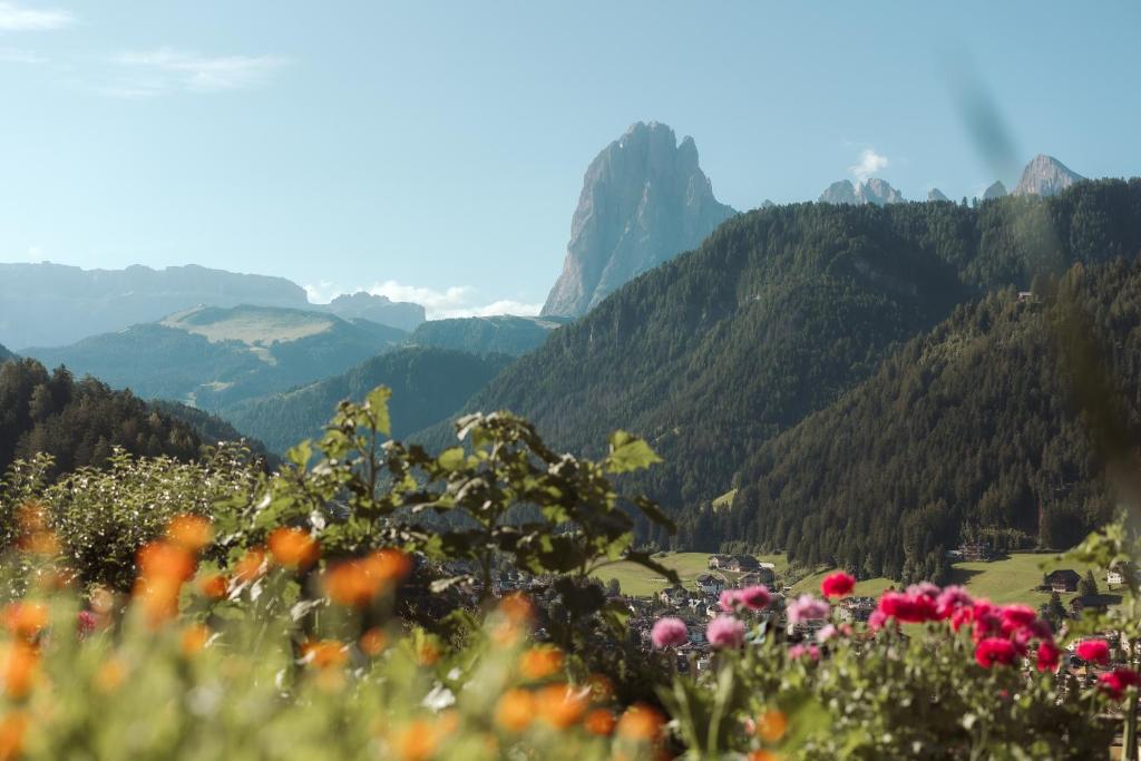 a view of a valley with mountains and flowers at Resciesa Hof in Ortisei