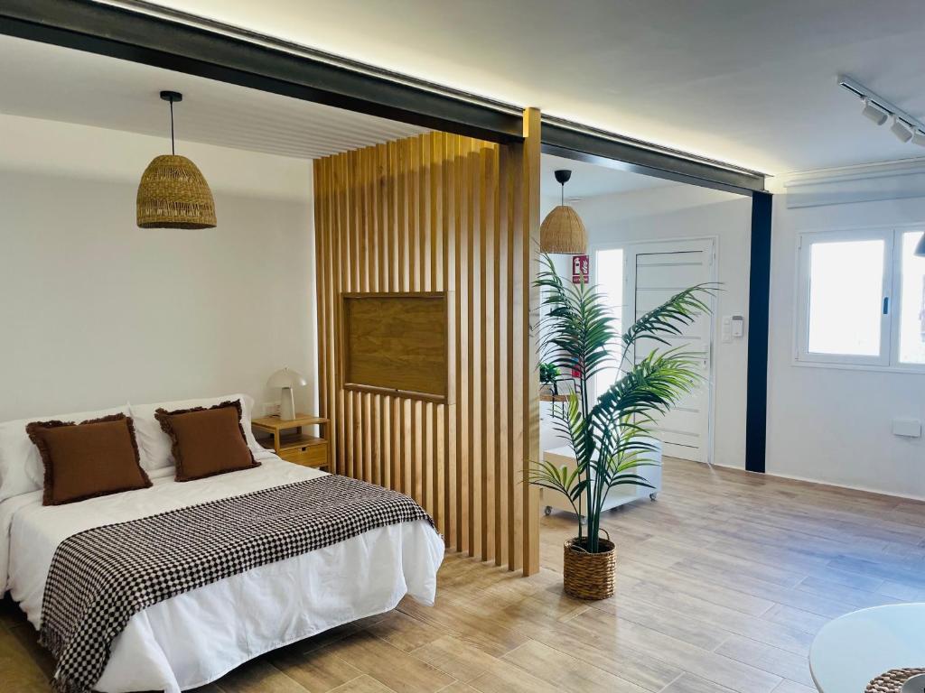 a bedroom with a bed and a plant in it at Casa Señora Reyes in Famara