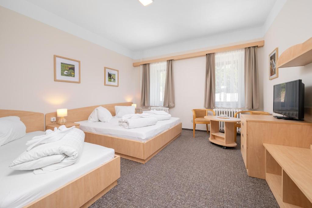 a hotel room with two beds and a television at Horský Hotel Jelínek in Bedřichov