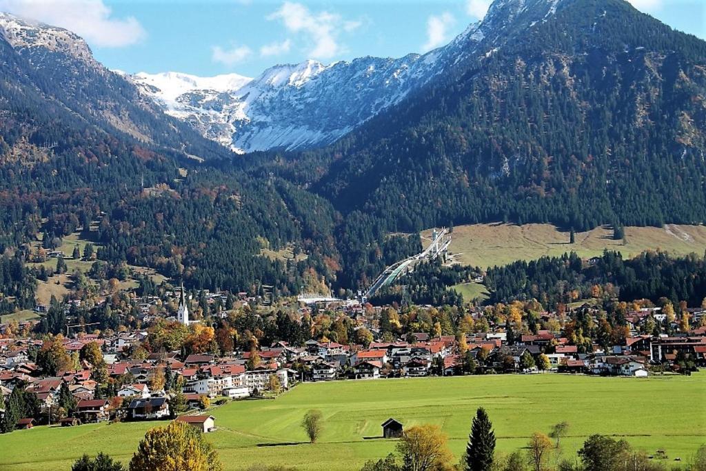 Eine Stadt auf einem Feld mit Bergen im Hintergrund in der Unterkunft Alpenflair Ferienwohnungen Whg 205 in Oberstdorf