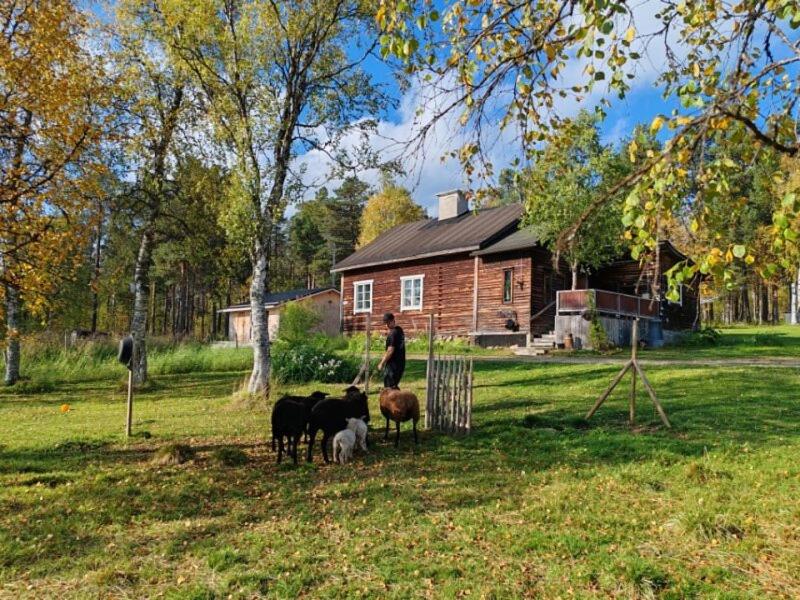 a person standing next to two animals and a house at Hirsipirtti in Inari