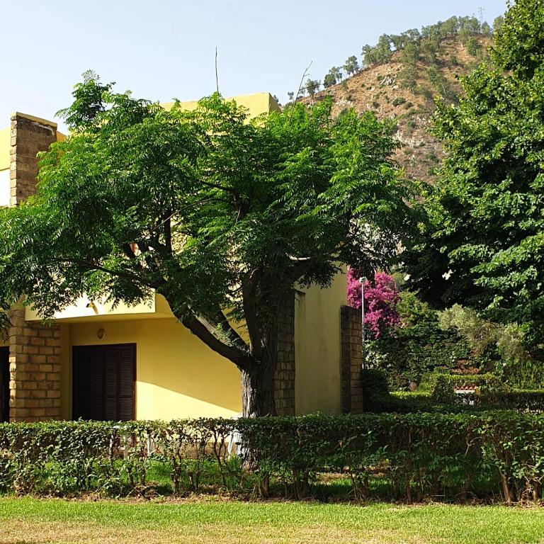 ein gelbes Haus mit einem Baum davor in der Unterkunft Villaggio Cala Verde in Copanello