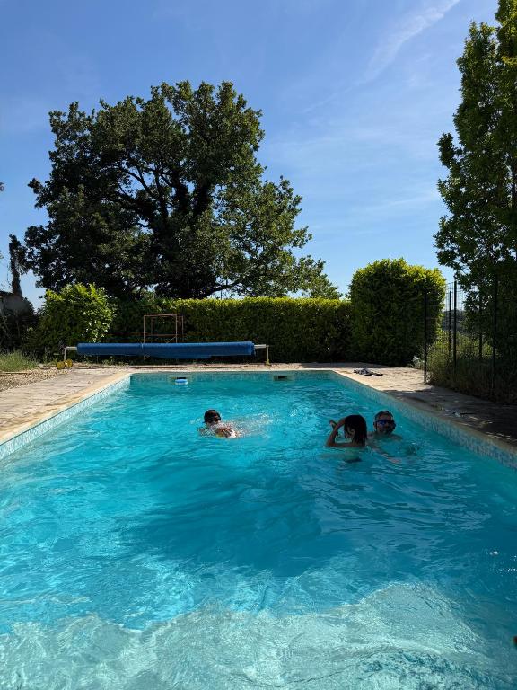 two people swimming in a blue swimming pool at Studio Piscine en Drôme Provençale Repas Asiatique sur demande in Taulignan