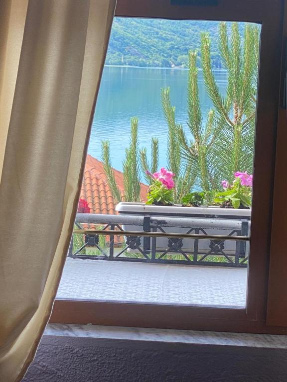 a window with a view of a balcony with flowers at Blero Rooms Rent in Pogradec