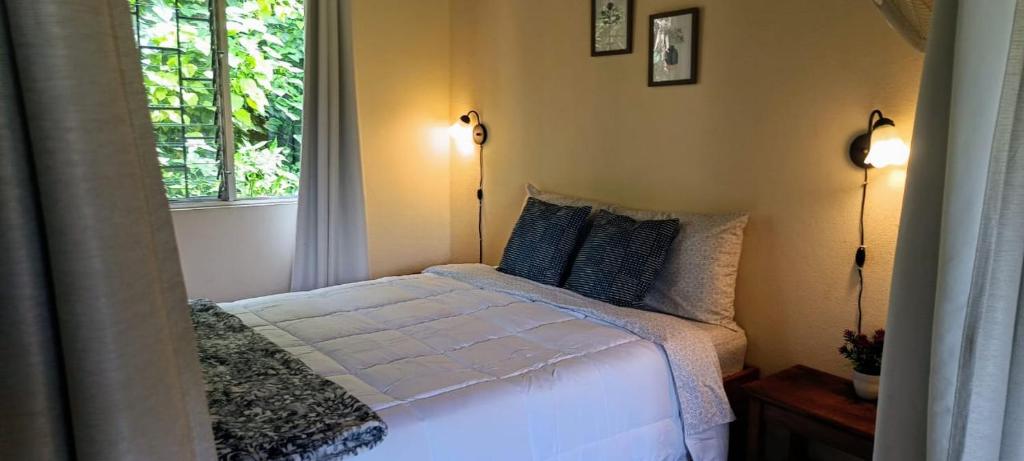 a bedroom with a bed with blue pillows and a window at Lago Vida Cabins in Tilarán