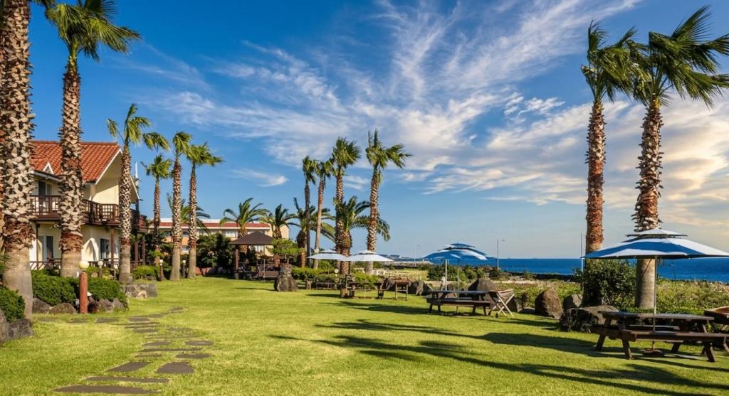 a resort with palm trees and tables and umbrellas at Long Beach Pension in Seogwipo