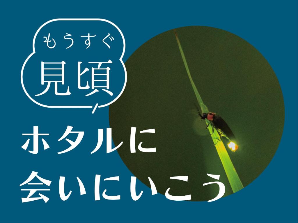 a picture of a beetle on a green leaf at Ukiha Kojio no Akari in Ukiha