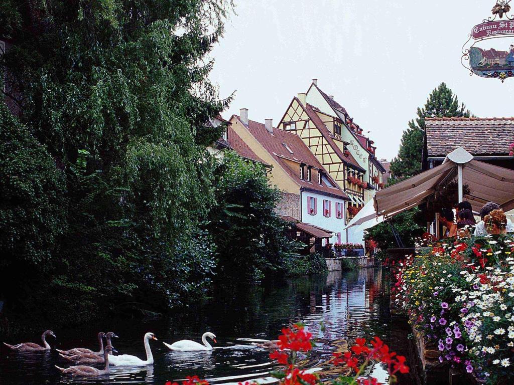 ibis Colmar Centre – photo 38